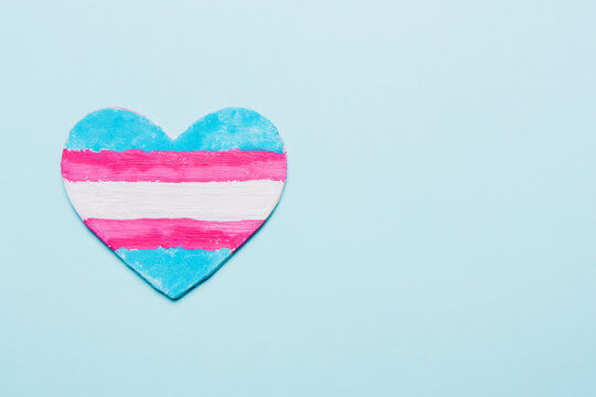 <img src="RTG_Importance of International Transgender Day of Visibility_01_540x360.jpg" alt="A heart imprinted with the Transgender flag on it positioned on the left hand side against a baby blue background">
